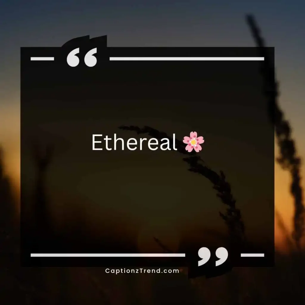 Aesthetic One Word Captions for Instagram for Girl