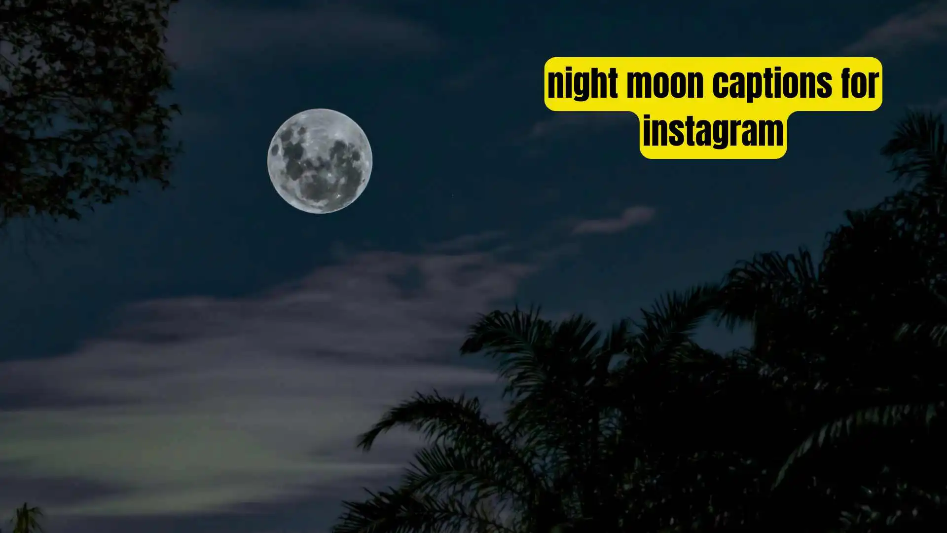 night moon captions for instagram