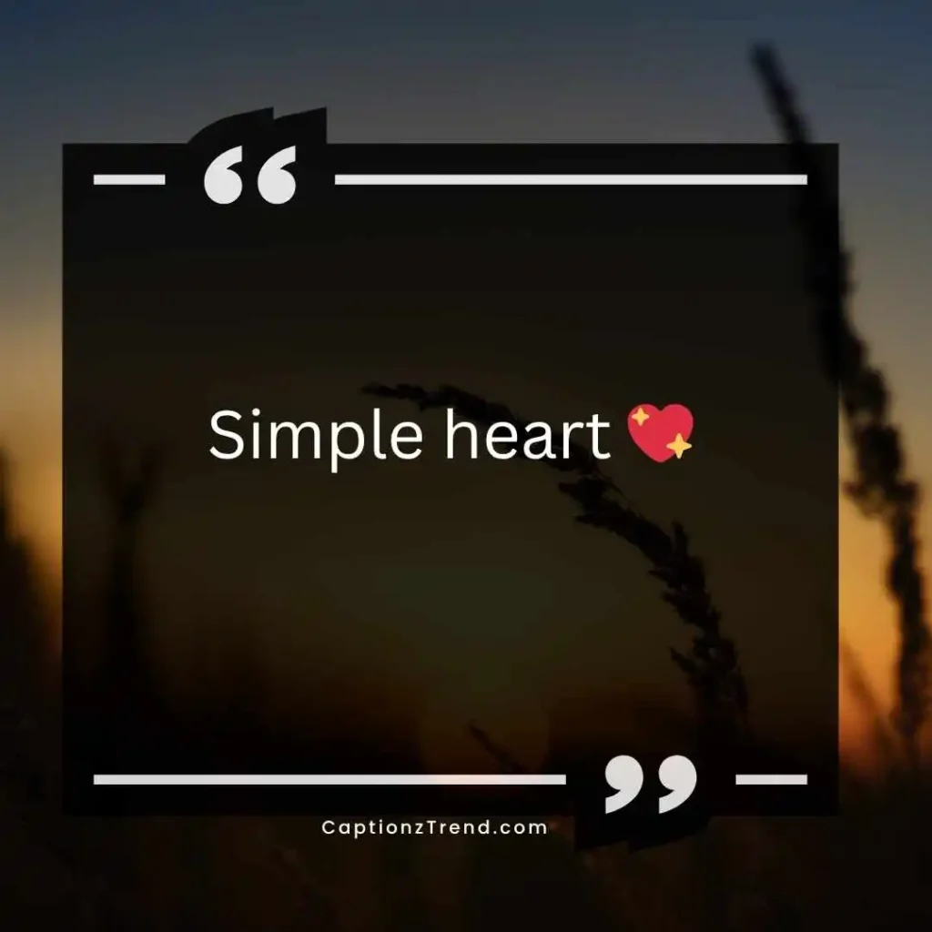 Short Simplicity Captions