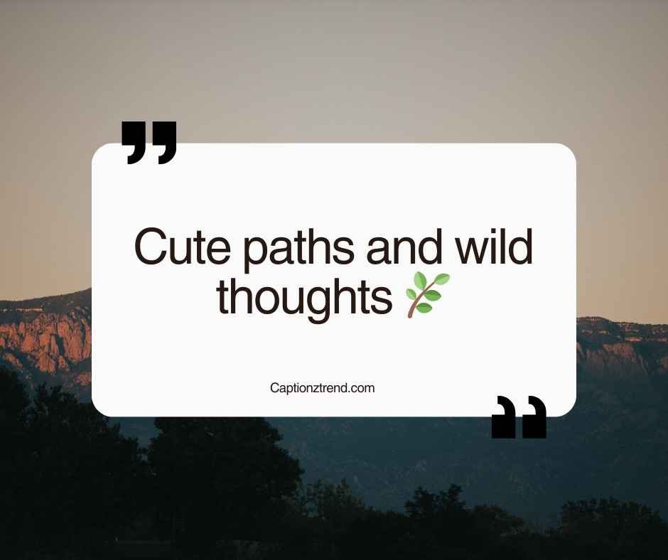 Cute Captions for Trekking