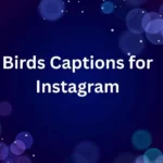 Birds Captions for Instagram