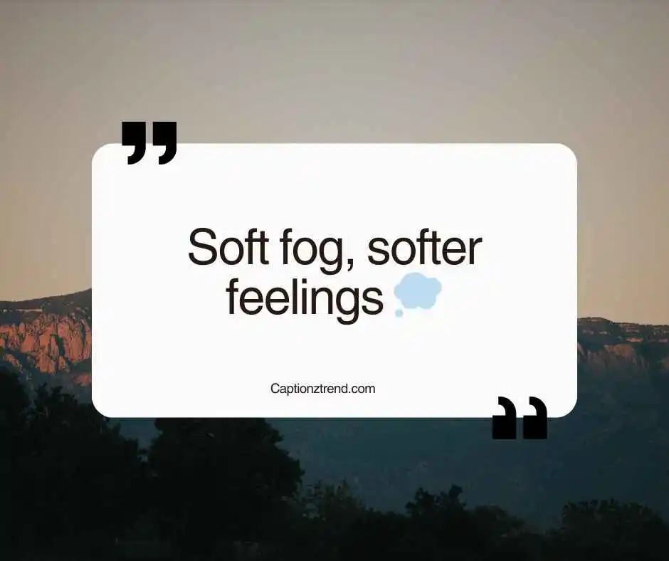  Cute Fog Captions