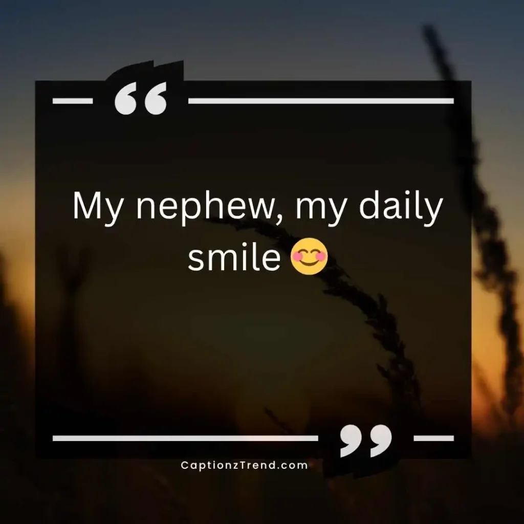 Cute Nephew Captions