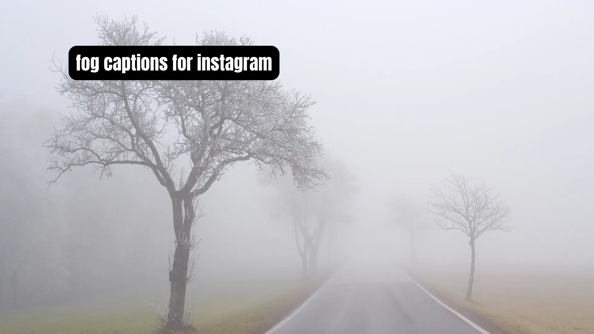 fog captions for instagram