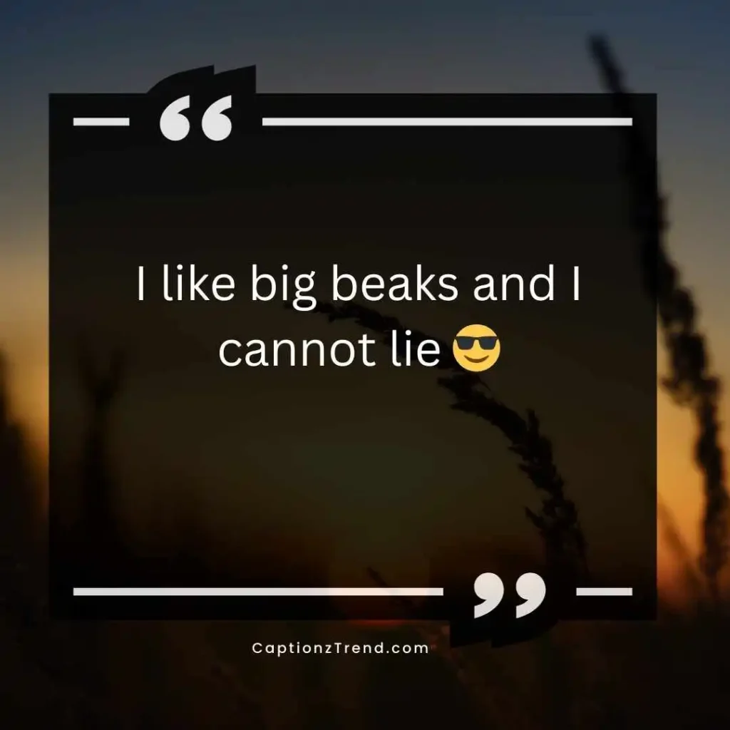 Funny Birds Captions 