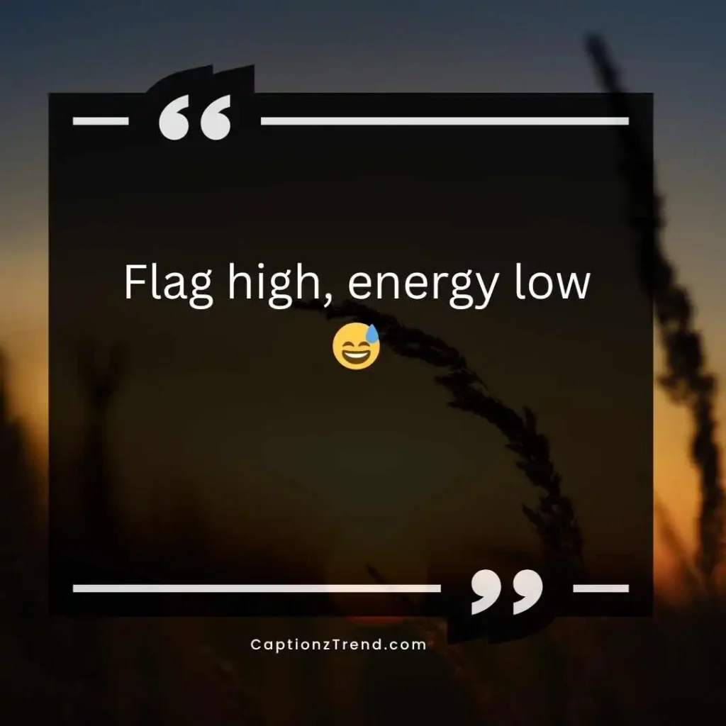 Funny Republic Day Captions