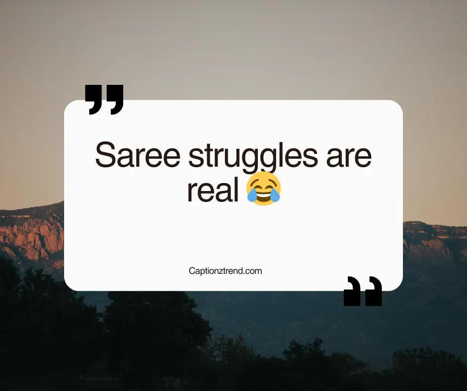 Funny Saree Captions