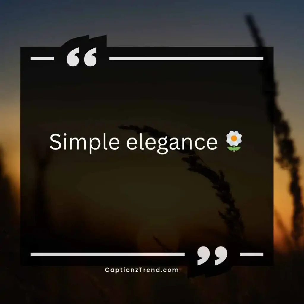 Short Kurti Captions for Instagram in Hindi