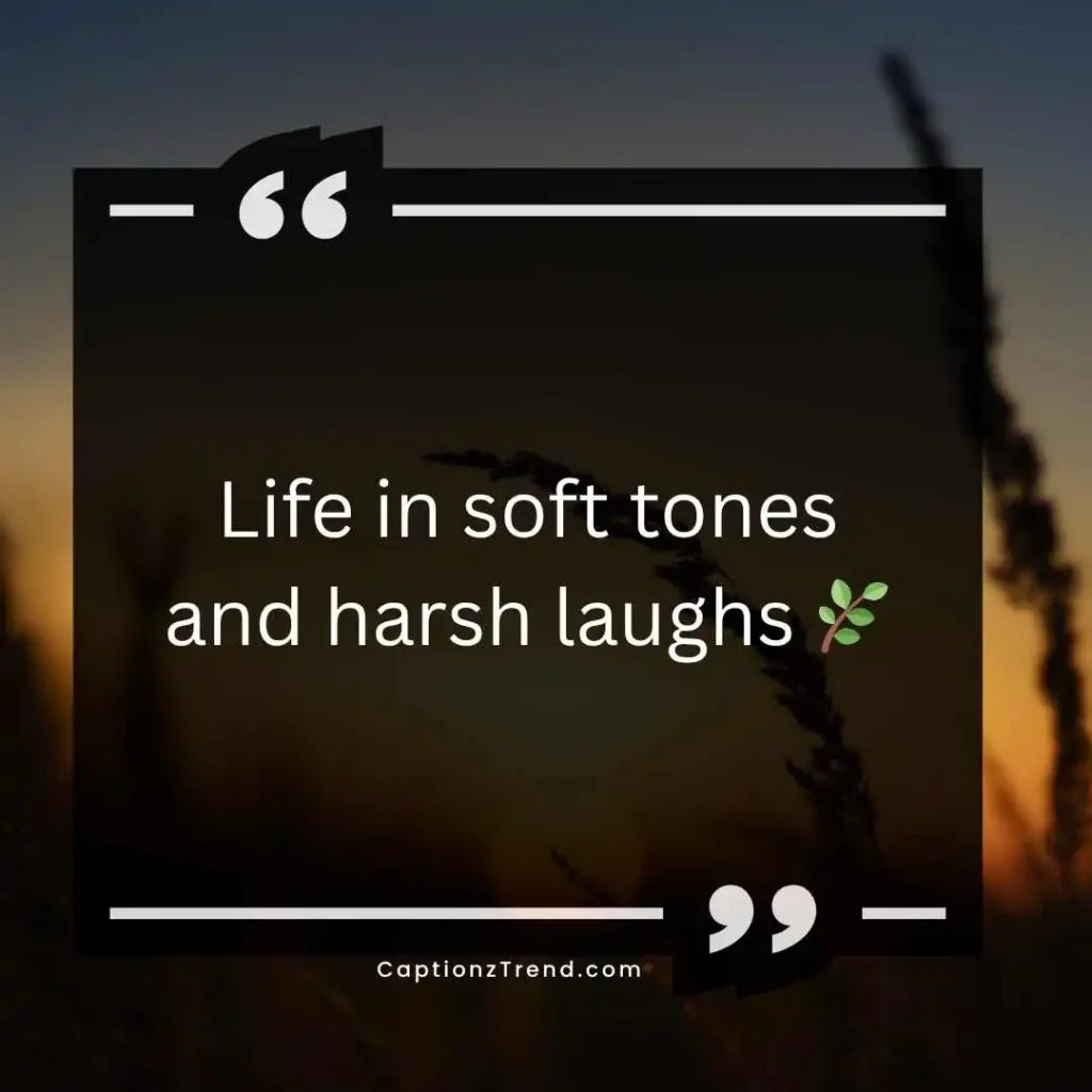 Aesthetic Comedy Captions for Instagram