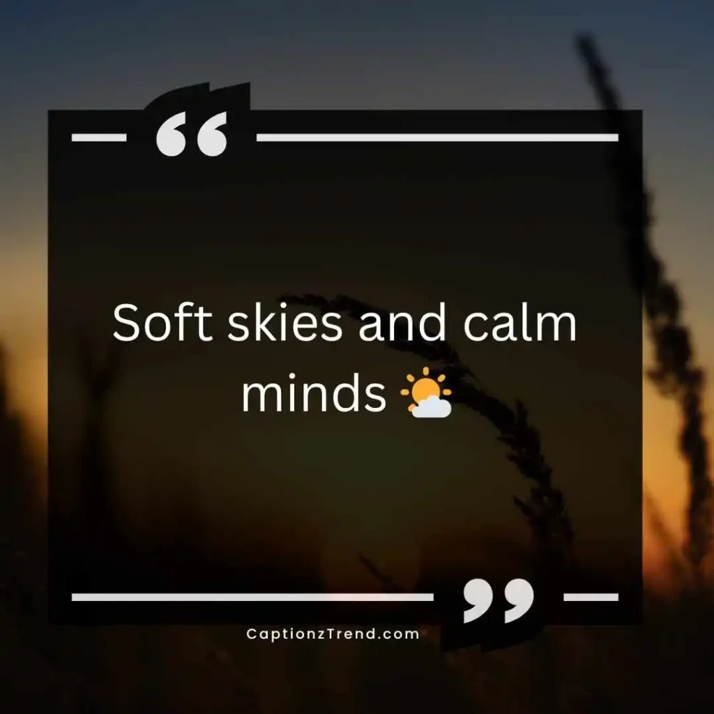 Aesthetic Nature Vibes