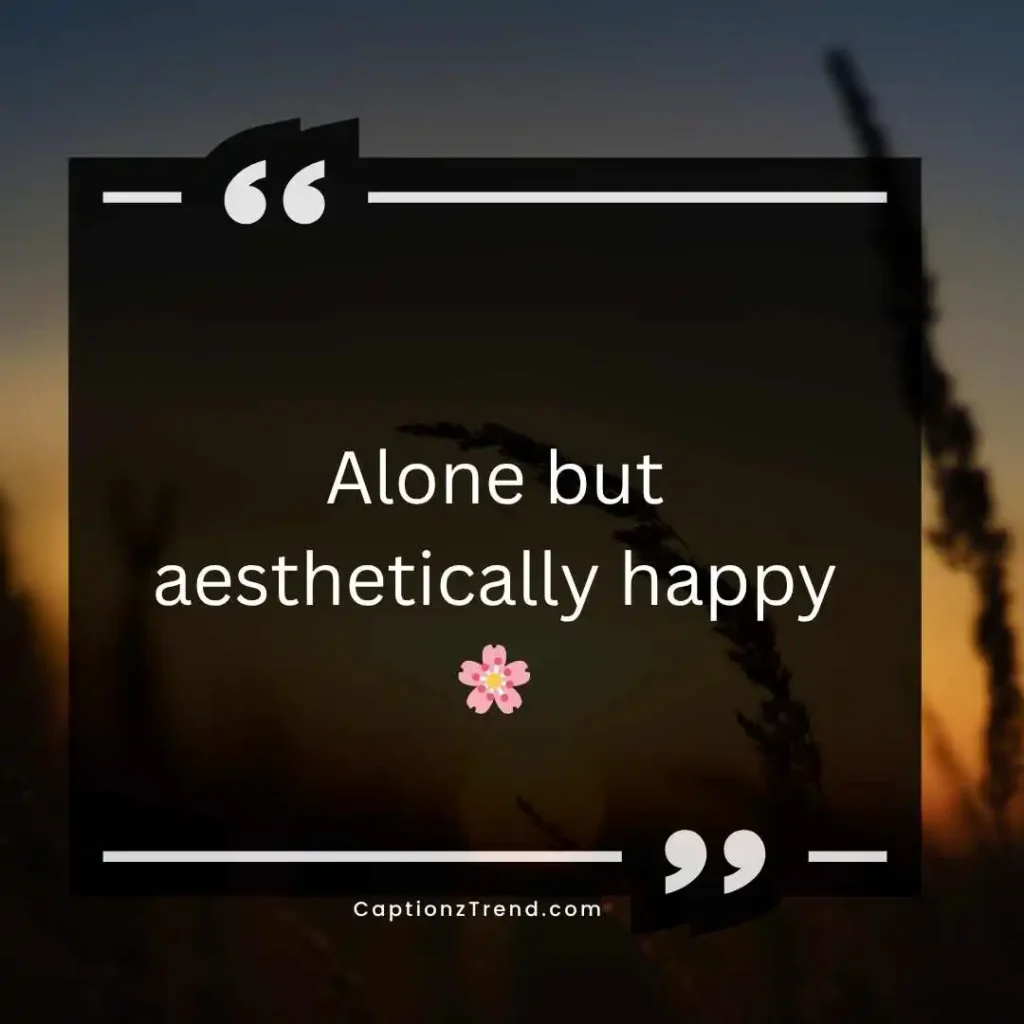 Aesthetic Single Life Captions ✨