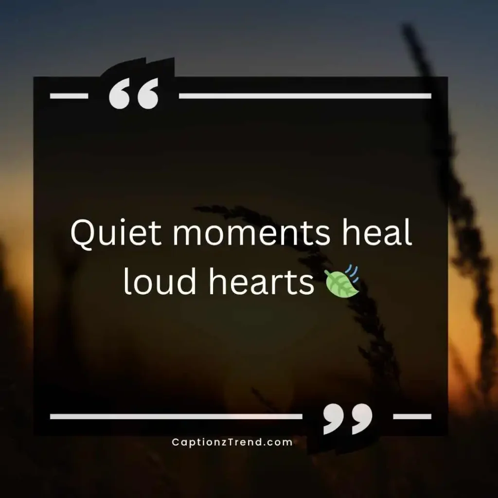 Calm Silence Captions