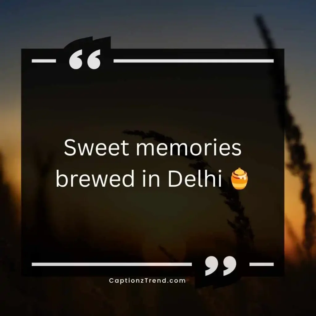 Cute Delhi Vibes Captions