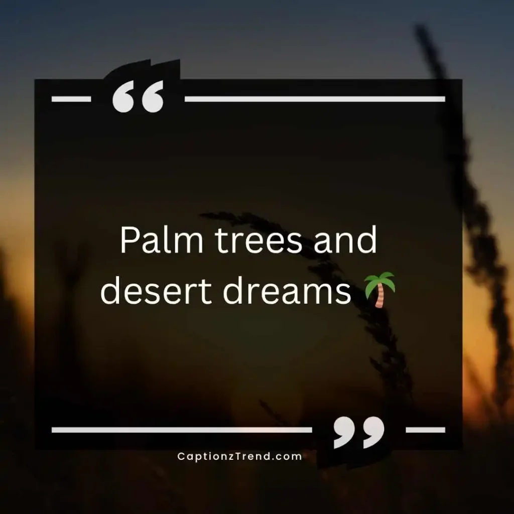 Cute Desert Captions for Instagram