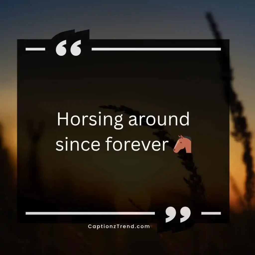 Funny Horse Captions