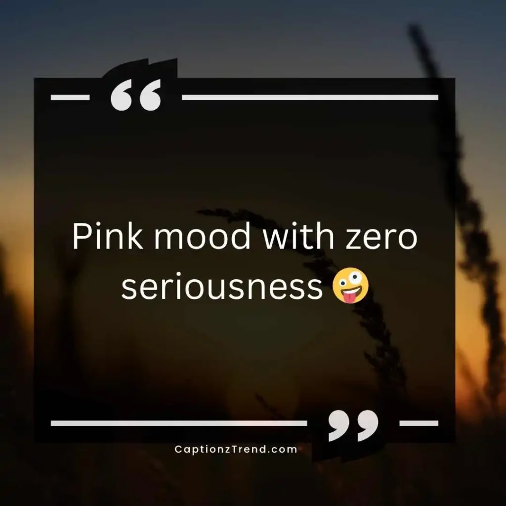 Funny Pink Captions