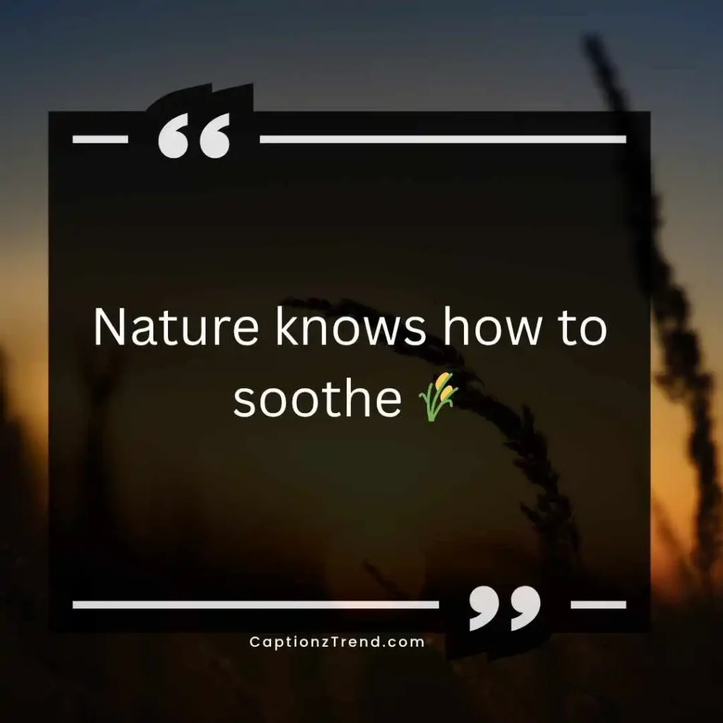 Peaceful Nature Captions