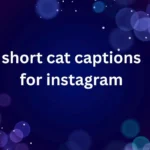 short cat captions for instagram