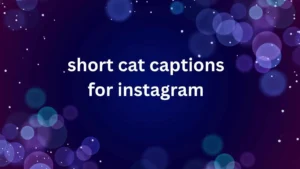 short cat captions for instagram
