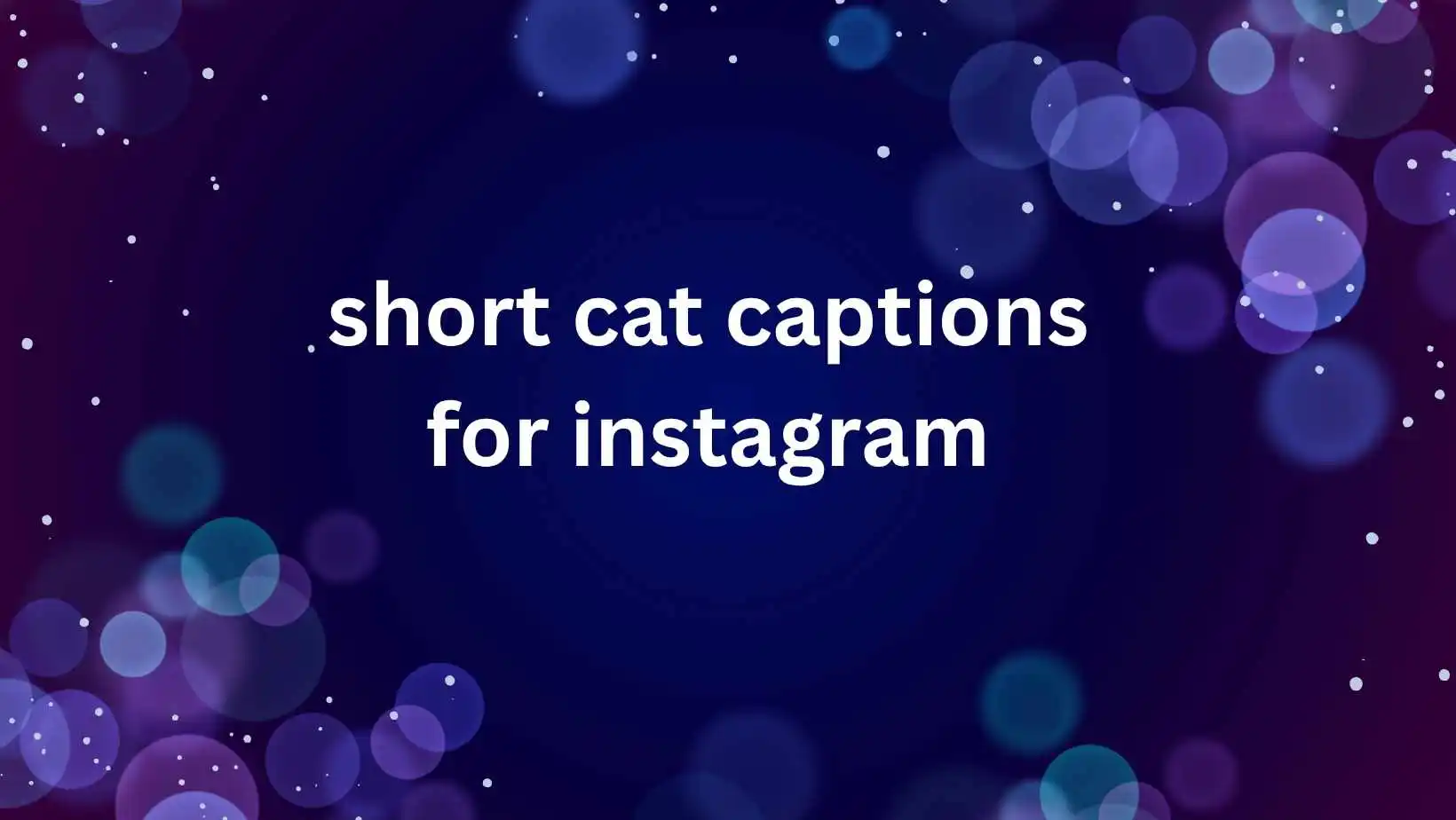 short cat captions for instagram